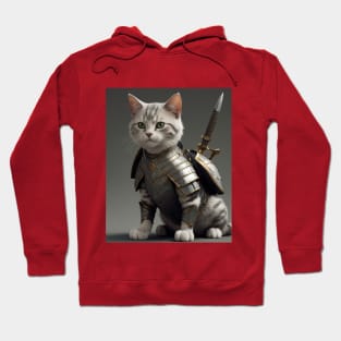 Warior Cat Hoodie